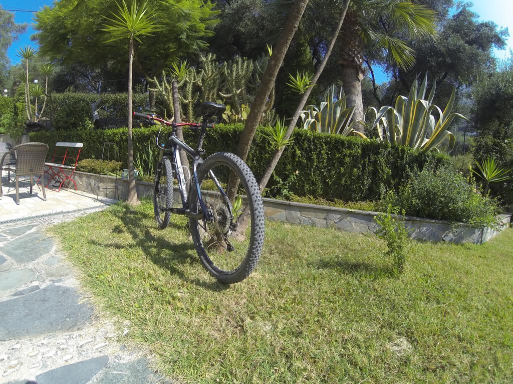 Golden Sun Apartment Parga Bilik gambar